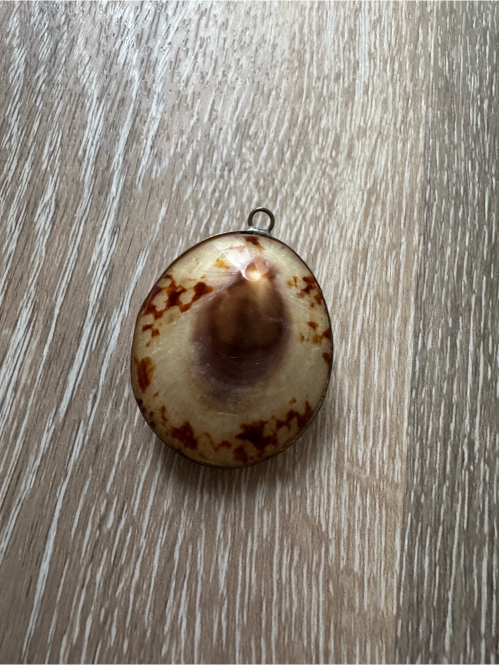 Limpet shell bezel style pendant